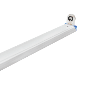 ELL1T_637442447750258958_HasThumb