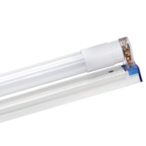 bo-bong-d_637955470389752750_HasThumb